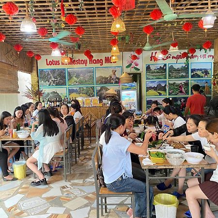 Hang Mua Lotus Homestay Ninh Binh Dış mekan fotoğraf