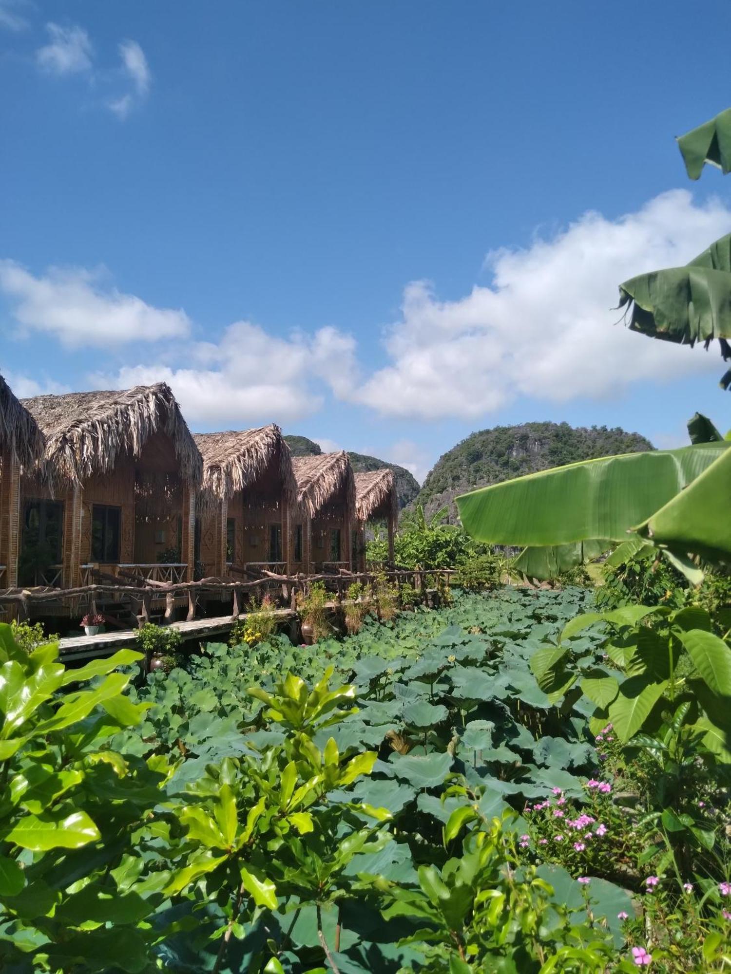 Hang Mua Lotus Homestay Ninh Binh Dış mekan fotoğraf